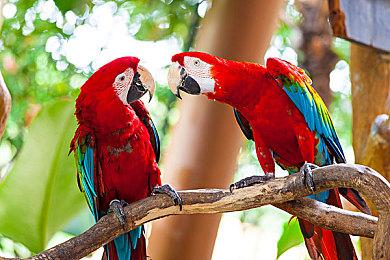 3D像素江湖什么样？武侠游戏《代号：问剑》Steam页面上线